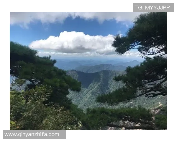 赛后分析：南京羽毛球队与杭州羽毛球队的战术意识与表现对比